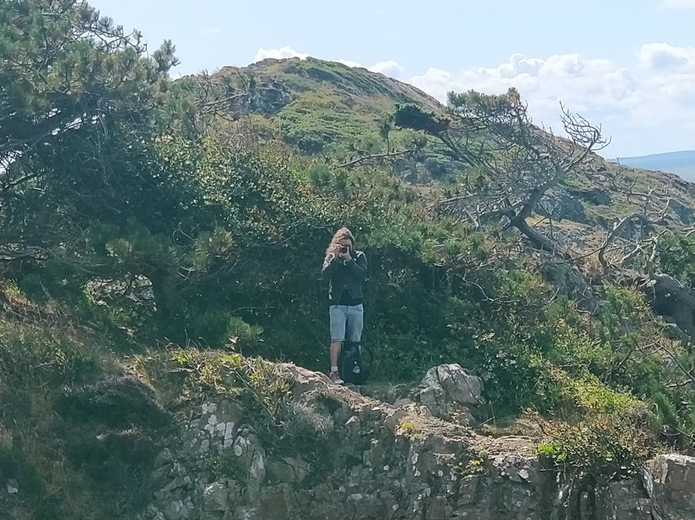 Sommarstugan