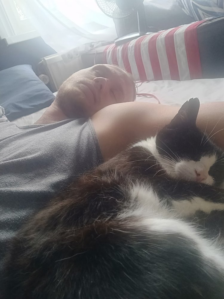 Katt