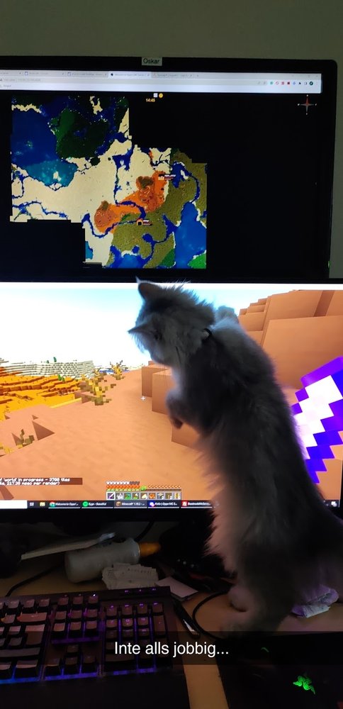 Katt